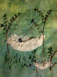 Nature's Cradles/Hammock Webs